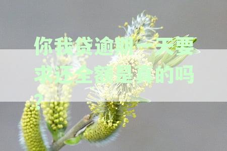 你我贷逾期一天还款技巧：确保及时还款避免罚息