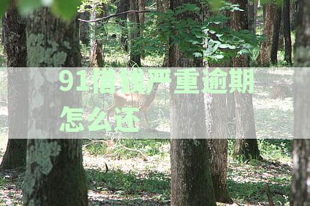 91借钱严重逾期怎么还