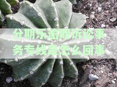 分期乐逾期未处理案件转入律师事务所