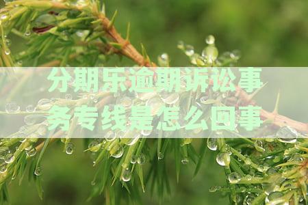 分期乐逾期诉讼事务专线是怎么回事