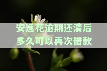 安逸花逾期还款后，再次借款的恢复时间以及需要注意的相关事