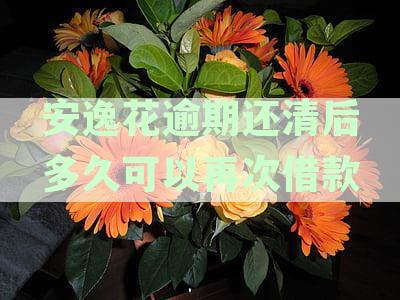 安逸花逾期还清后多久能再次使用：征信显示结清时间解答