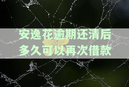 安逸花逾期还款后征信记录的恢复时间及如何申请结清