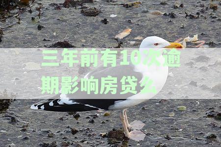 三年前信用卡逾期记录是否会对当前房贷申请产生影响？
