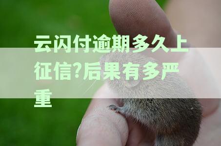 云闪付逾期还款处理策略及征信影响深度解析