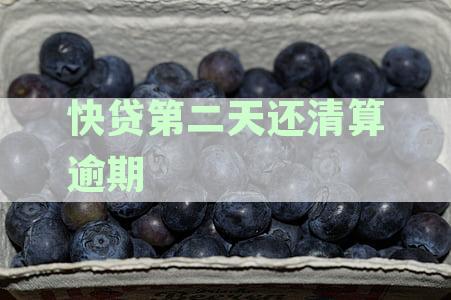 快贷还款逾期一天的后果及应对措，如何避免逾期问题？
