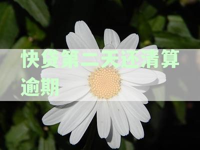 贷款逾期两天是否会影响征信记录？