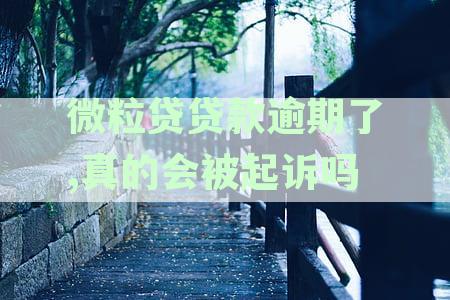微粒贷贷款逾期后果：会不会被起诉？如何避免逾期影响？