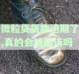 微粒贷逾期还款的法律风险：真的会被起诉吗？