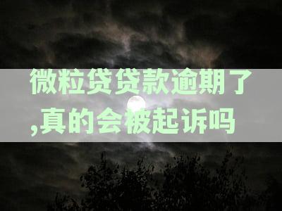 微粒贷逾期后果全方位解析：是否会导致坐牢、信用记录影响及解决方案