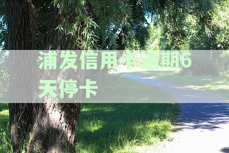 浦发信用卡逾期6天停卡后的解决策略与恢复指南