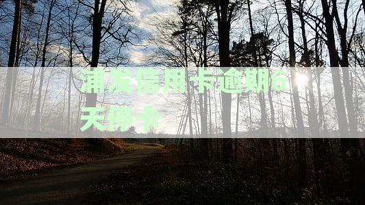 浦发信用卡逾期协商解决流程与注意事