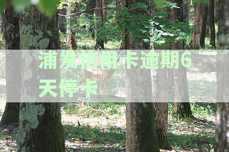 浦发逾期10多天就停卡，不接受协商可以投诉吗？如何进行协商以避免停卡？