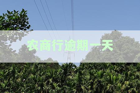 逾期一天的农商银行贷款将严重影响个人征信记录