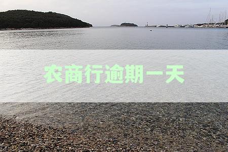 农商行逾期一天如何在手机上还款-农商银行逾期一天会上征信吗
