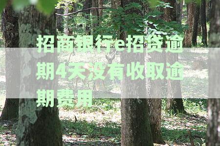 招商银行e招贷逾期4天未收取逾期费用，是否正常？如何处理？