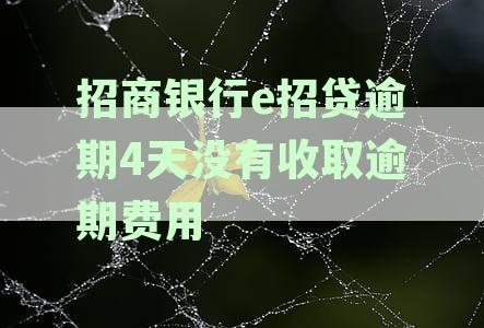 招商银行e招贷逾期4天未收取逾期费用的后果及处理方法解析