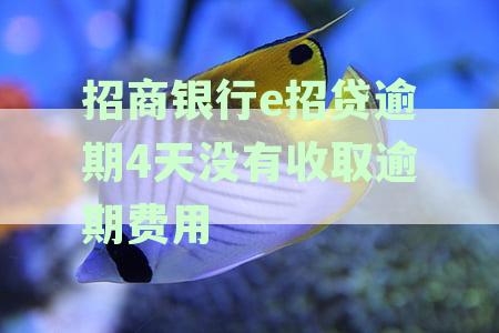 招商银行e招贷逾期5天：处理策略与信用影响剖析