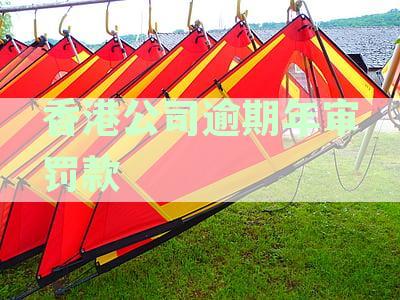 逾期未年审的香港公司可能面临高额罚款：具体数额因情况而异