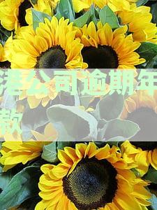 香港公司年审逾期罚款计算方法及可能面临的后果，如何避免罚款？