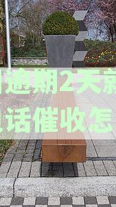 美团逾期2天开始电话催收，如何妥善处理？了解详细流程和应对策略！