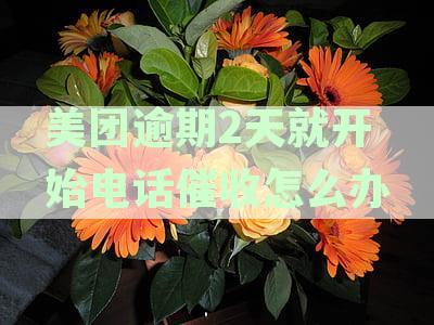 美团逾期5天未还款，遭受不合理电话催收，如何有效投诉？