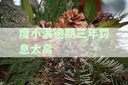 度小满逾期3年：原因、后果、解决方案及如何避免类似问题