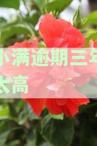 度小满逾期三年会起诉吗：罚息高、逾期多久会被起诉、逾期一年后果如何？