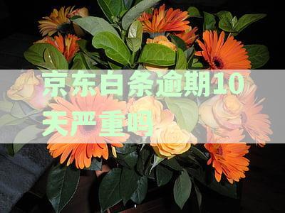 逾期10天的影响与后果，是否会泄露通讯录？如何解决这个问题？
