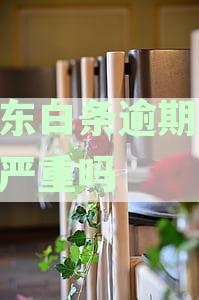 逾期10天严重吗怎么办：征信影响、应对措及恢复信用流程