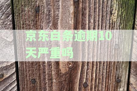 逾期10天的影响及解决办法，用户必看！