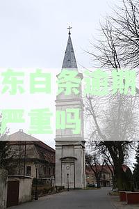 逾期10天怎么办：如何办理并避免后果？