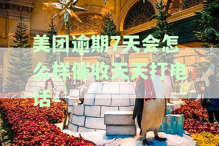 美团逾期7天后的催收流程、可能面临的后果及应对方法，是否会频繁打电话？