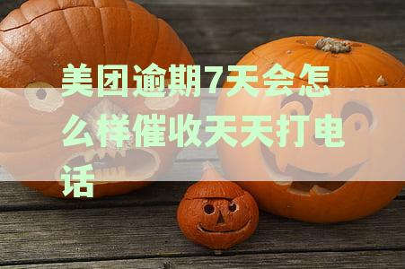 美团逾期还款，如何应对电话催收？了解详细处理步骤和注意事