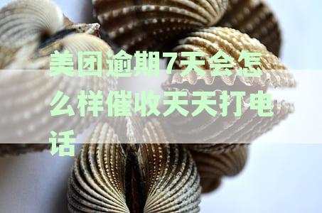 美团逾期7天会怎么样催收天天打电话