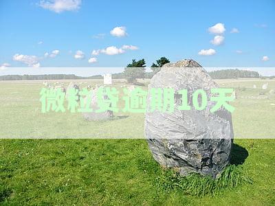 新关于微粒贷逾期10天的处理方式，如何避免联系家人和单位？