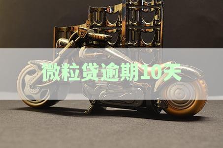 微粒贷逾期10天会产生哪些影响？如何尽快解决逾期问题以避免信用受损？