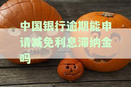 中国银行逾期还款：如何申请减免利息和滞纳金？了解详细指南！