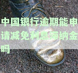 了解中国银行逾期利息减免政策，轻松申请信用卡信用提升