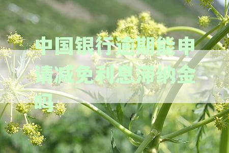 中国银行滞纳金减免政策详细解析：如何申请以及可能的免除情况