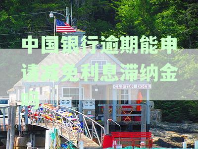 中国银行逾期能申请减免利息滞纳金吗