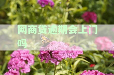 网贷逾期催收方式全面解析：真的会上门吗？