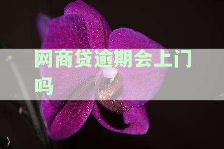 网商贷逾期会上门吗