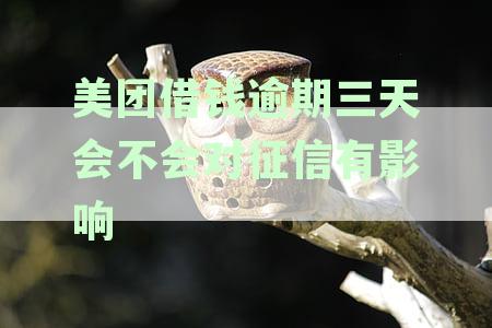 美团借钱逾期三天对个人信用的影响及可能的解决方案全面解析