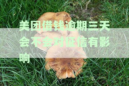 美团借钱逾期三天会不会对征信有影响
