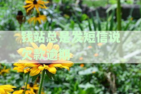 钱站短信欠款逾期问题：原因、解决方法和影响全面解析