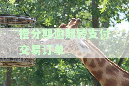 '橙分期订单已取消怎么回事？竣工后显示撤销'