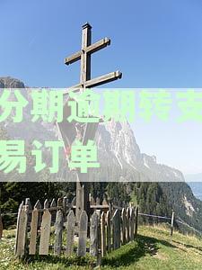 橙分期逾期转支付交易订单