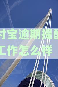 支付宝逾期问题：如何通过法律程序解决？