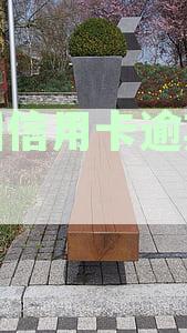 中国信用卡逾期问题浮出水面：揭示6亿人背后的挑战与影响